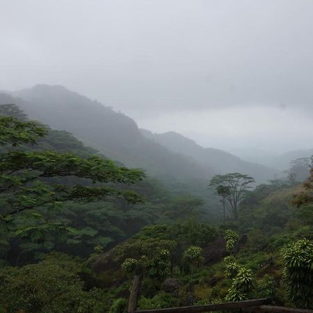 Jungle Tree House Rangala Bed and Breakfast Kandy Esterno foto