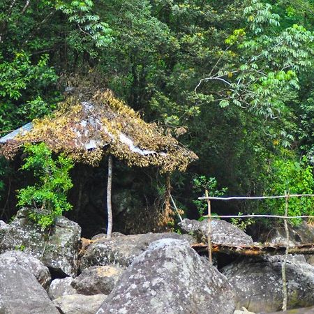 Jungle Tree House Rangala Bed and Breakfast Kandy Esterno foto