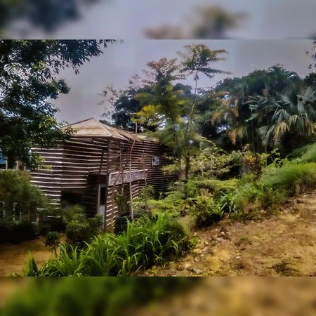 Jungle Tree House Rangala Bed and Breakfast Kandy Esterno foto