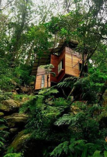 Jungle Tree House Rangala Bed and Breakfast Kandy Esterno foto