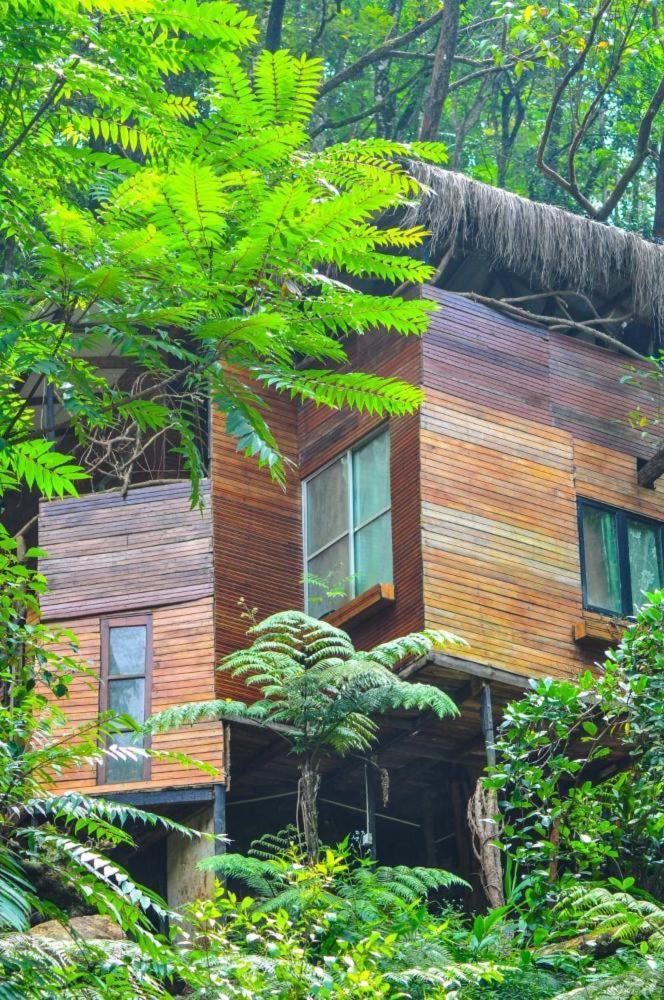 Jungle Tree House Rangala Bed and Breakfast Kandy Esterno foto
